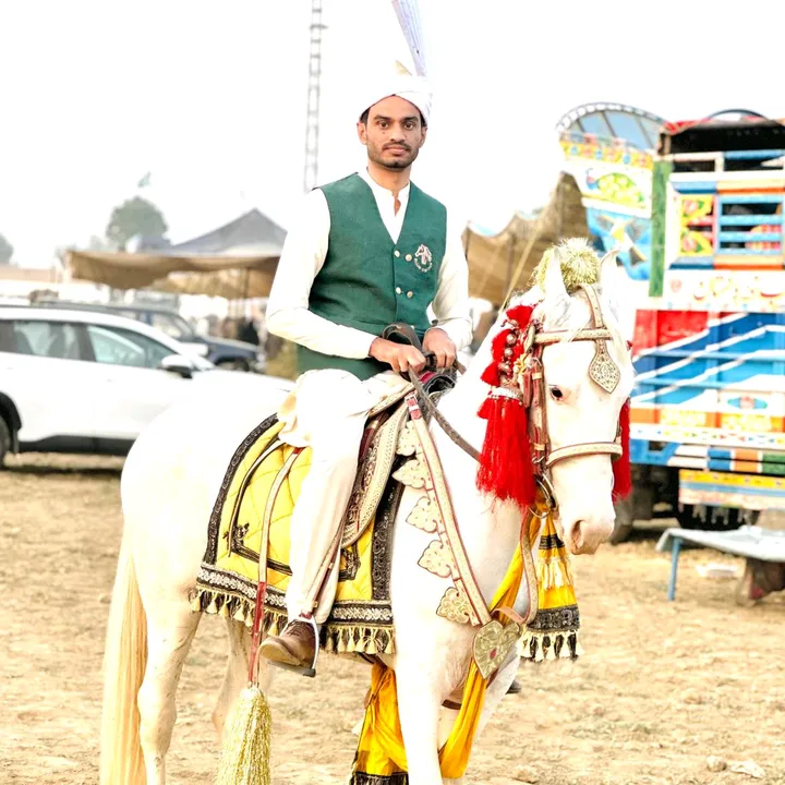 chmajid003
