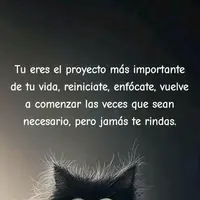 noe.19981