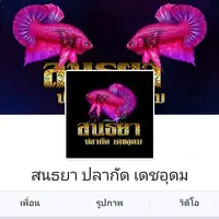 sontayabetta.detudom