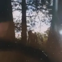 lovejahsehxx