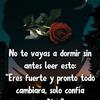 user091355569