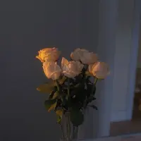 ameerr0075