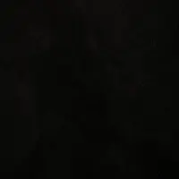isadoraoliveira931